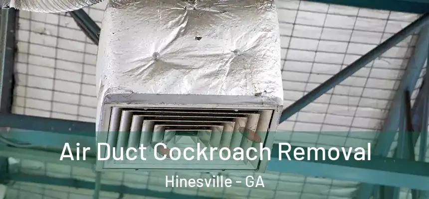 Air Duct Cockroach Removal Hinesville - GA