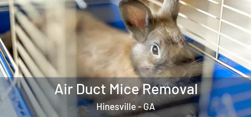  Air Duct Mice Removal Hinesville - GA