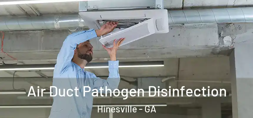 Air Duct Pathogen Disinfection Hinesville - GA