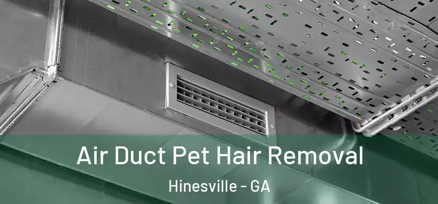  Air Duct Pet Hair Removal Hinesville - GA