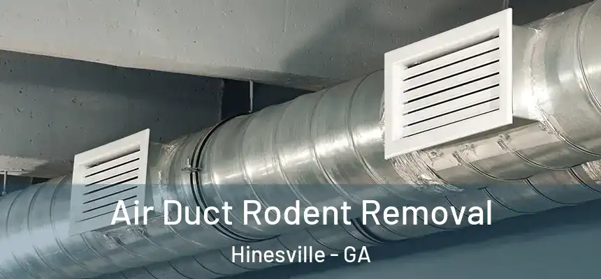 Air Duct Rodent Removal Hinesville - GA