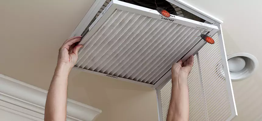 Preventive Cockroach-Proofing for Ducts in Hinesville
