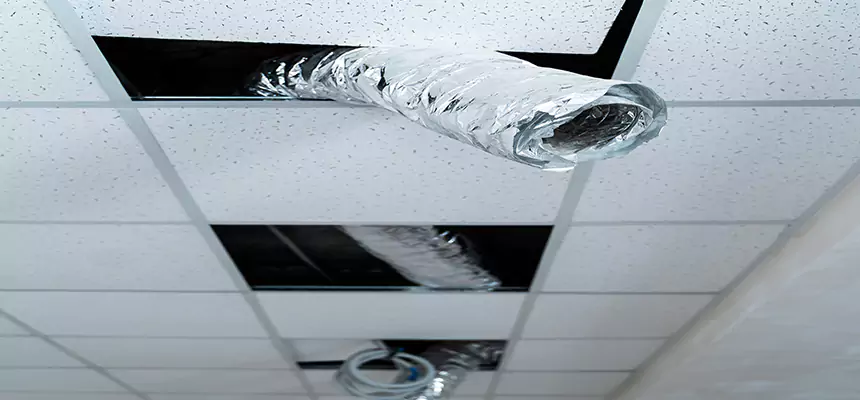 Our Air Duct Pet Hair Removal Services in Hinesville, GA