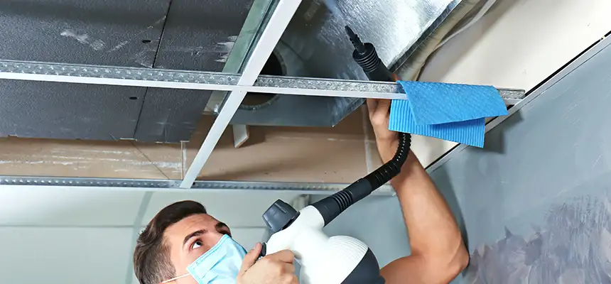 Our Air Duct Rodent Removal Services in Hinesville, GA