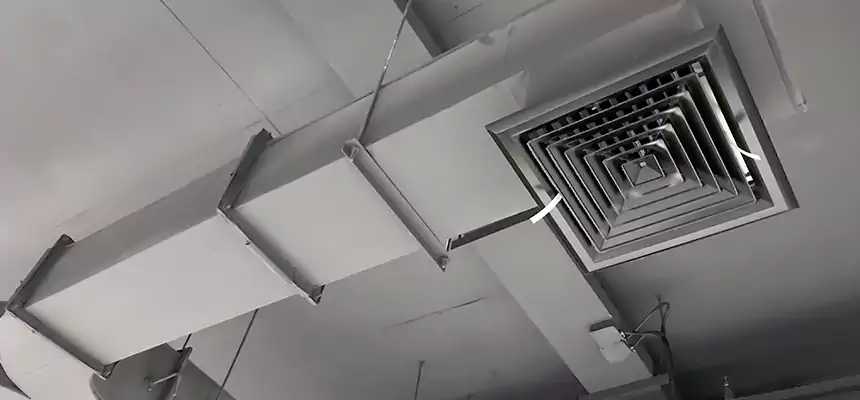 Restorative Allergy Relief Vent Cleaning – Coil, Blower & Housing Detail in Hinesville