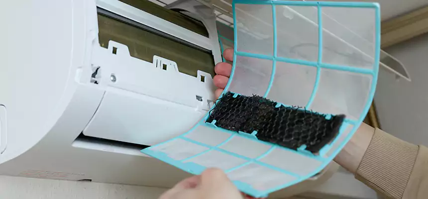 Gentle Ductwork Odor-Control Pet Dander Duct Cleaning in Hinesville, GA