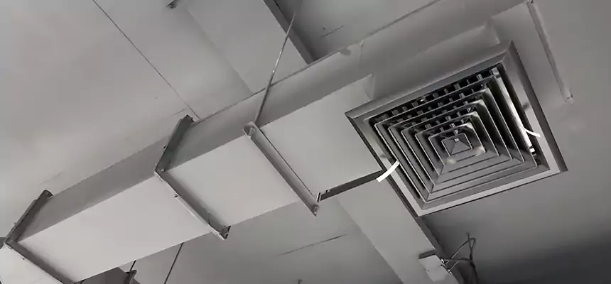 Our Rodent Droppings In Vents Services in Hinesville, GA