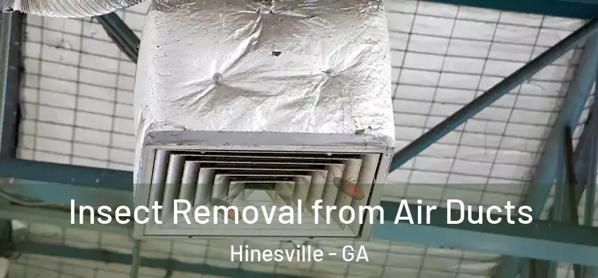 Insect Removal from Air Ducts Hinesville - GA