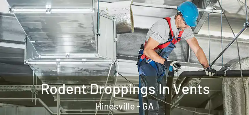 Rodent Droppings In Vents Hinesville - GA