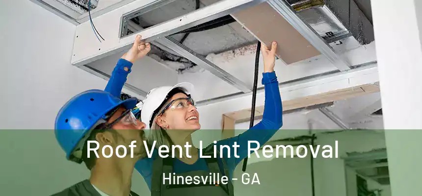 Roof Vent Lint Removal Hinesville - GA