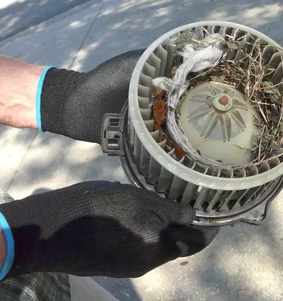 About Air Duct Rat Removal in Hinesville, GA