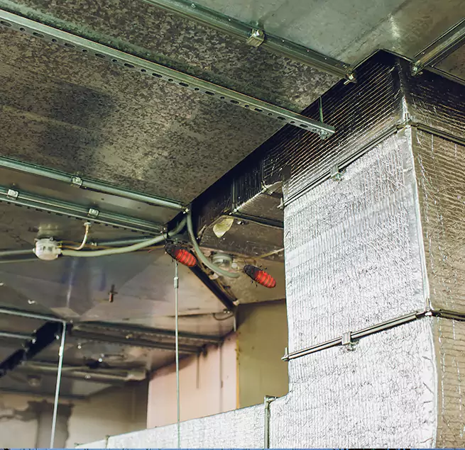 Why Homeowners & Businesses Trust Us in Hinesville, GA?