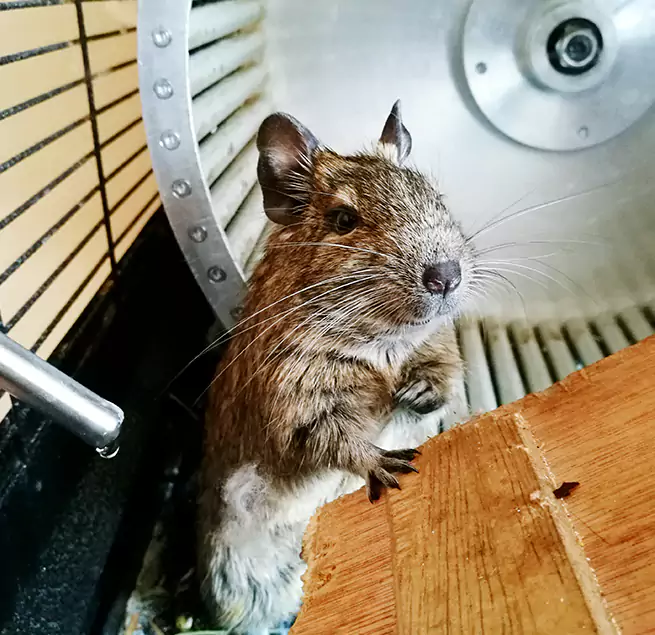 Why Homeowners & Businesses Trust Us Hinesville, GA?