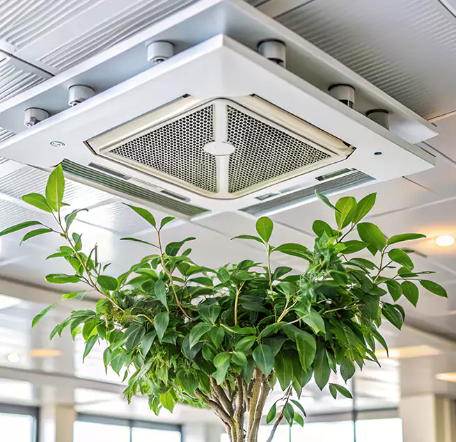 Why Homeowners & Businesses Trust Us in Hinesville, GA?