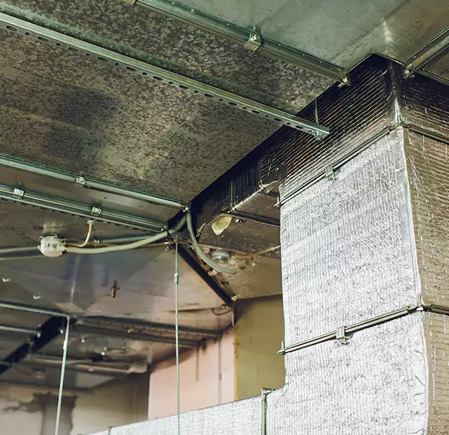 Why Homeowners & Businesses Trust Us in Hinesville, GA?